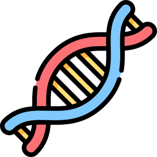 DNA Basics Notes