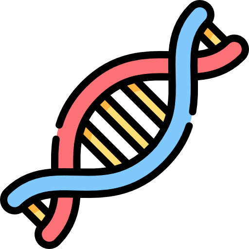 DNA Basics Notes